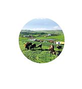 Çobanköy Yardımlaşma Ve Dayanışma Derneği